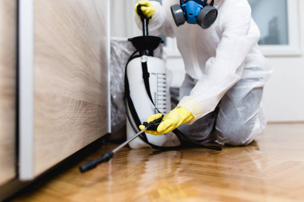 Best Mosquito Control Services  in Winters, TX