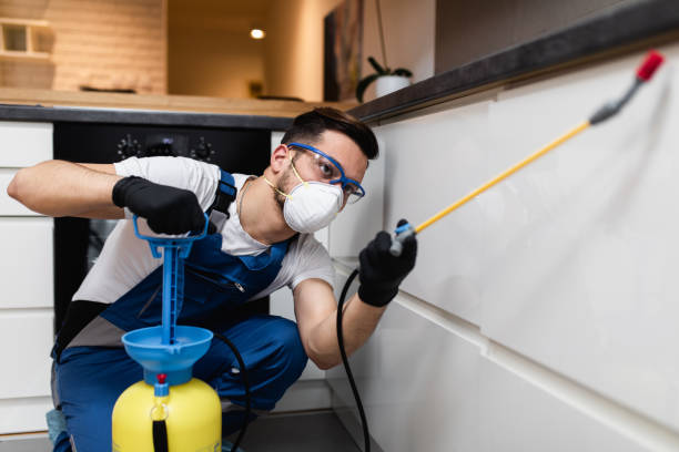 Best Residential Pest Control  in Winters, TX