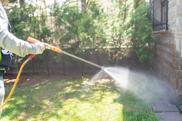 Best Commercial Pest Control Services  in Winters, TX